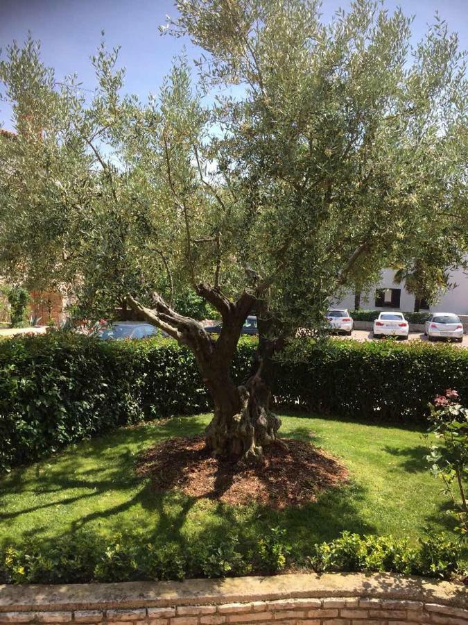 Apartman Alberta Poreč Eksteriør billede