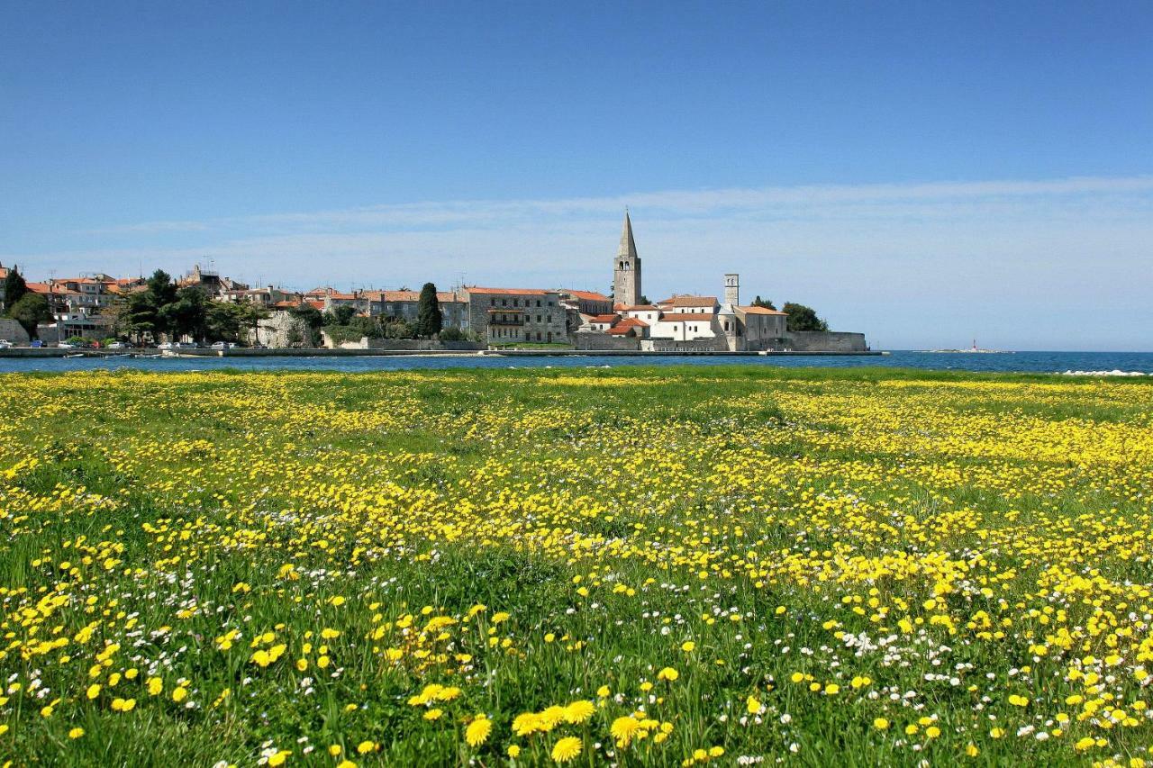 Apartman Alberta Poreč Eksteriør billede